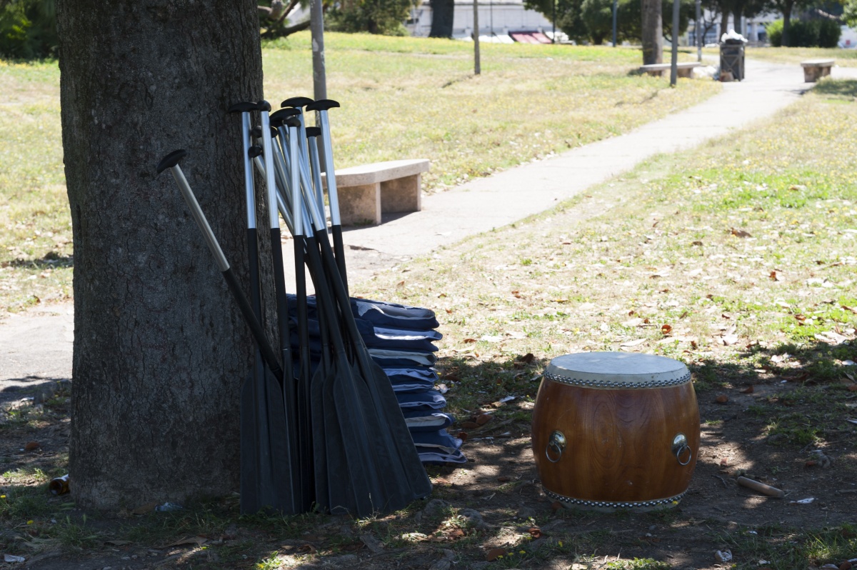 Smart Eventi: team building Dragon Boat per Anritsu - 7