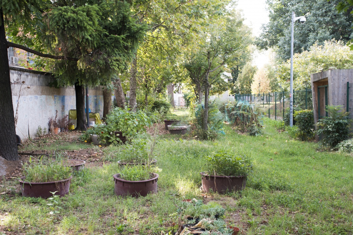 Social Team Building per Heineken Italia - 25