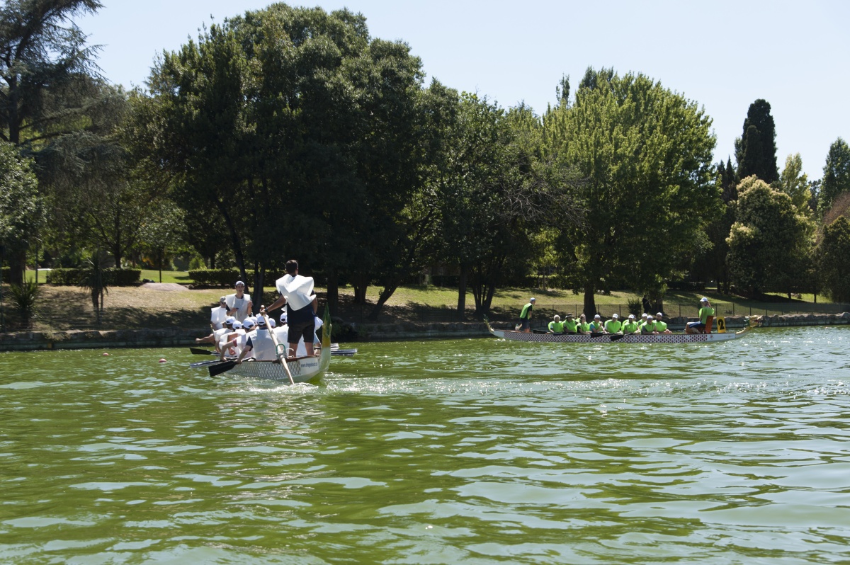 Smart Eventi: team building Dragon Boat per Anritsu - 29