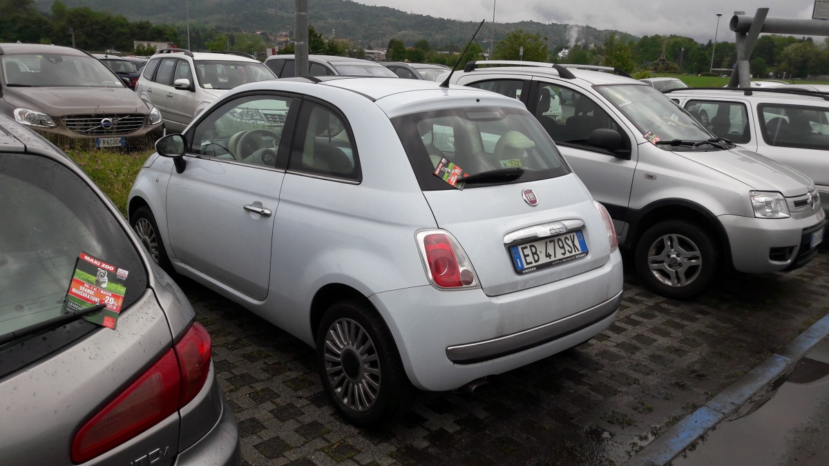 Inaugurazione negozio Maxizoo - 4