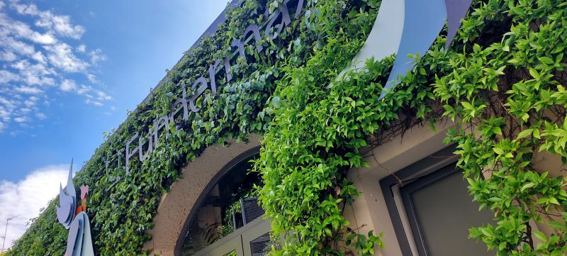 Una giungla urbana nel centro di Milano - 3