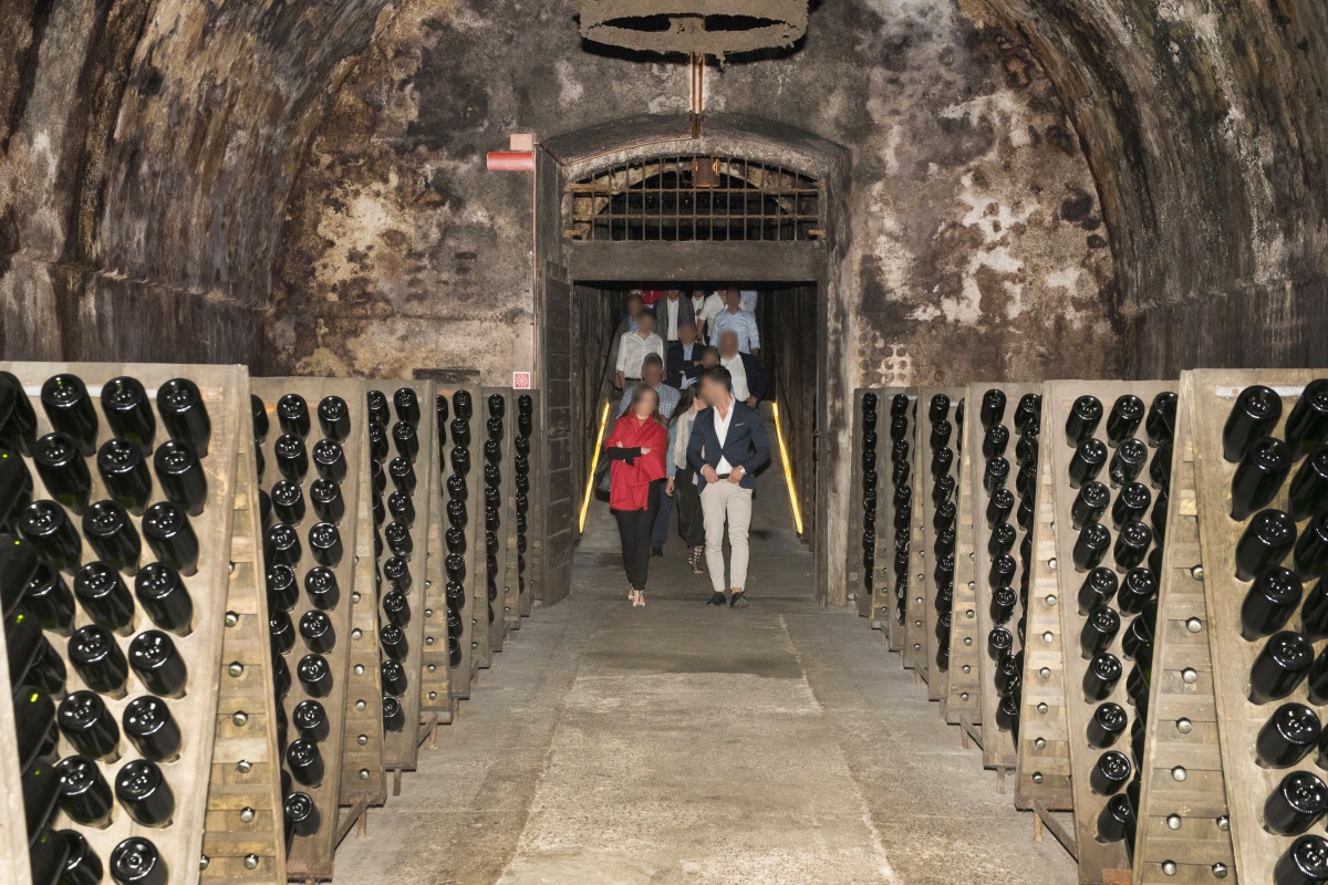 Maillis Wine Tasting - 2