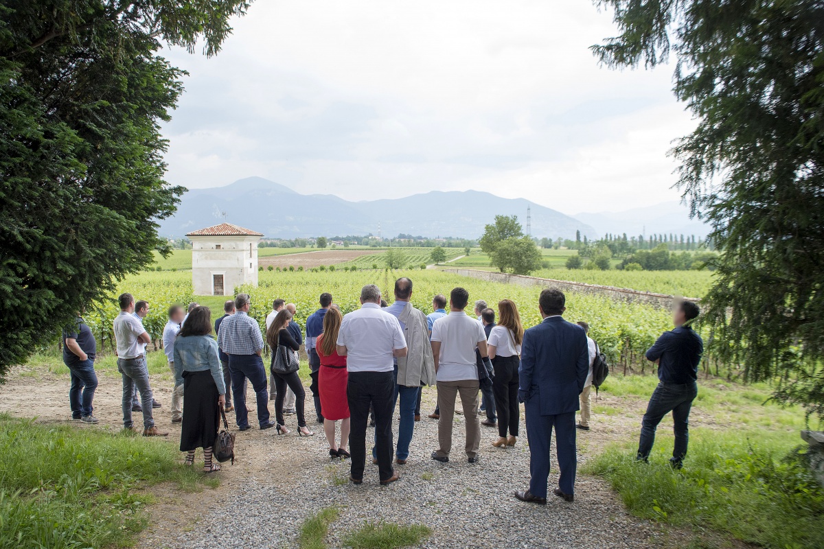 Maillis Wine Tasting - 3