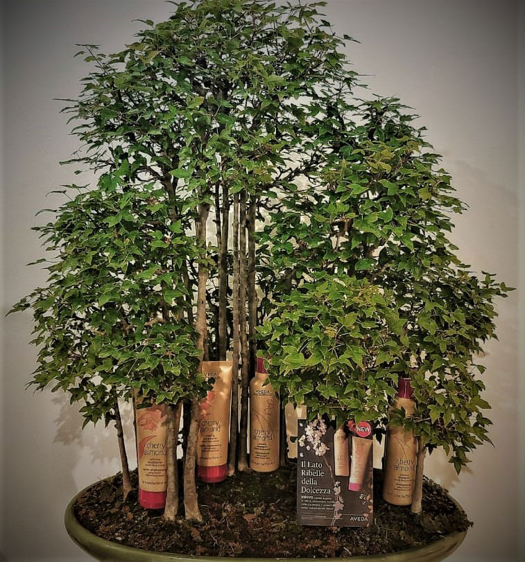 Press Day per Aveda - 7