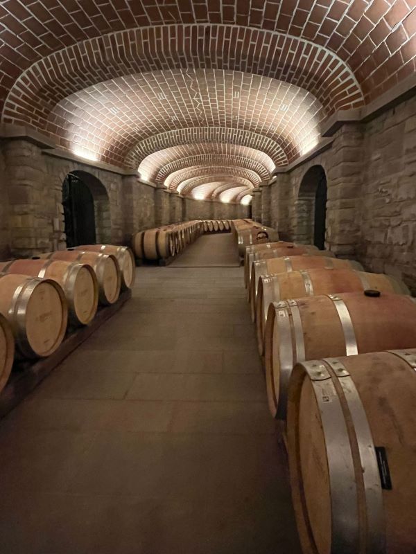 Ritiro aziendale con team building per Green Sun - 10