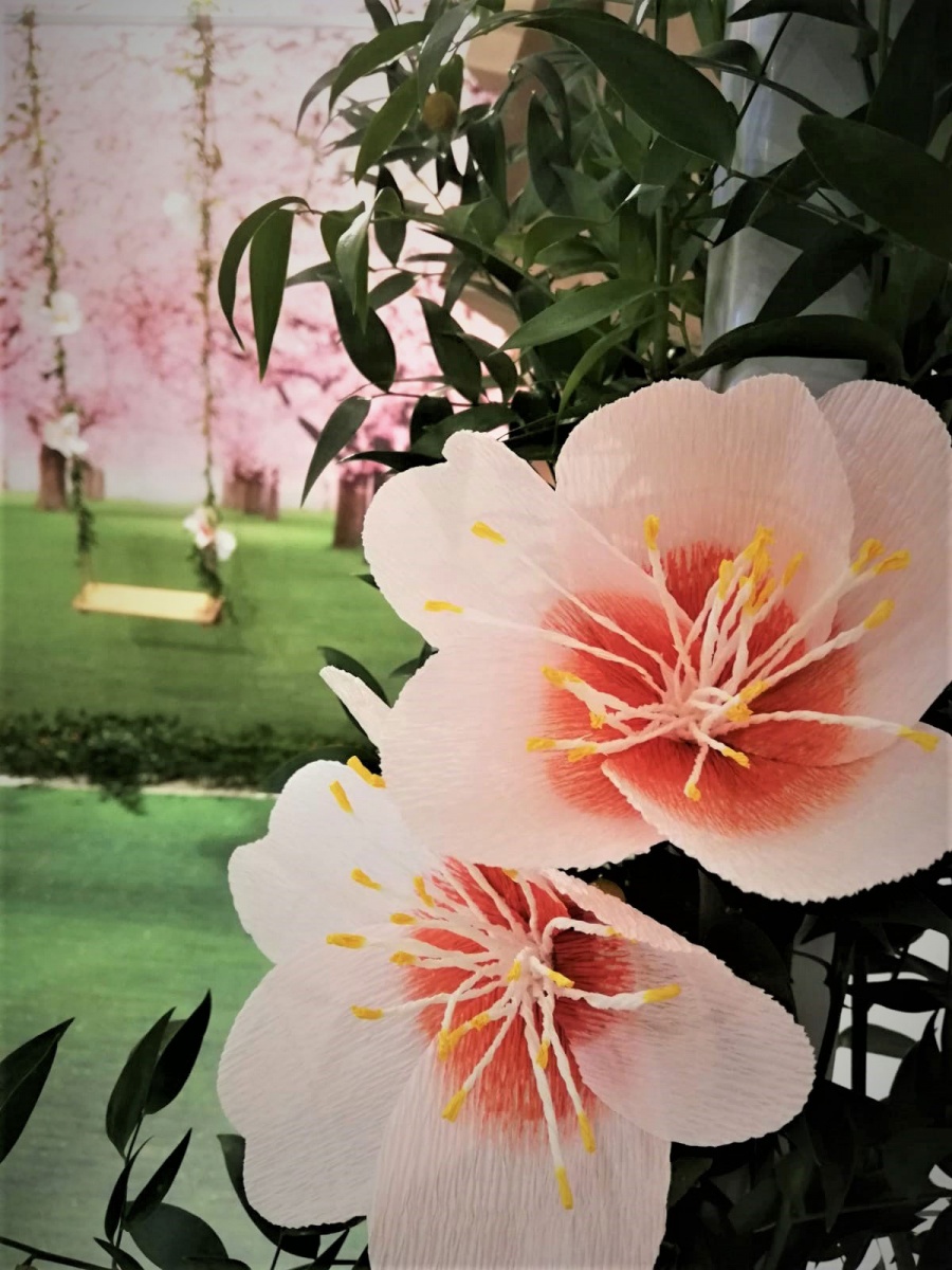 Press Day per Aveda - 10