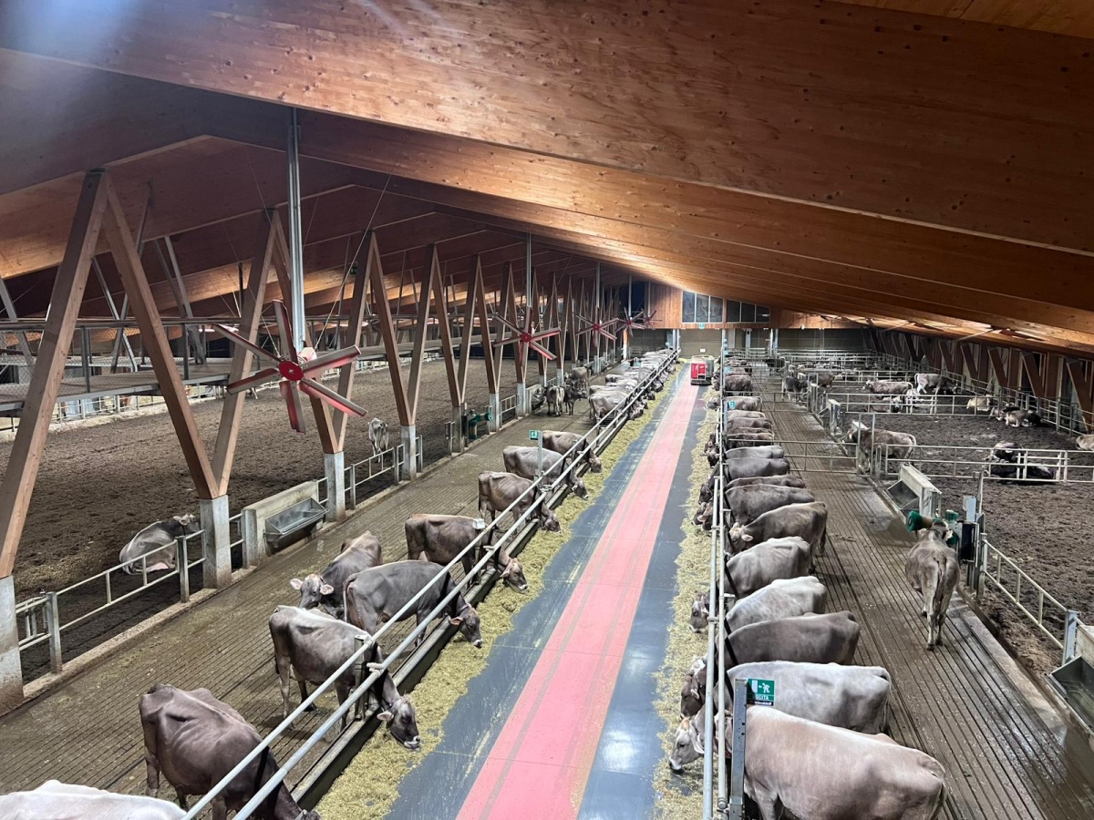 Incentive aziendale Generali in agriturismo in Valtellina - 5