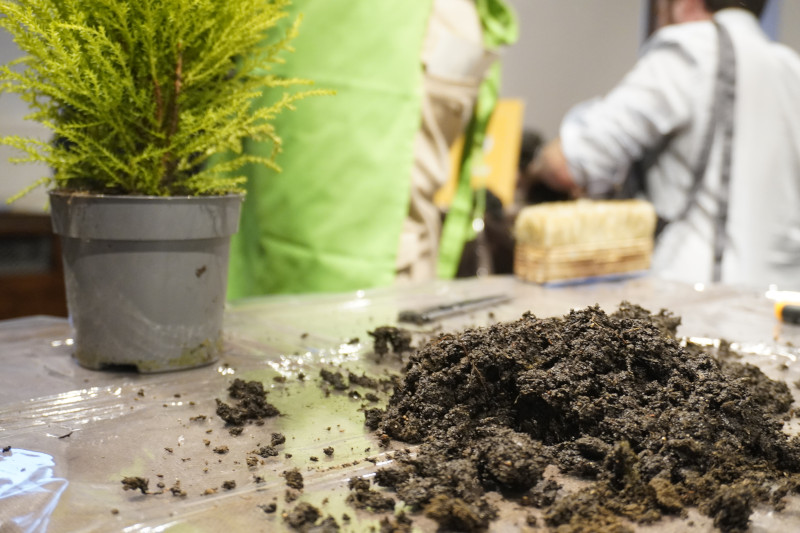 Team building sociale con Kokedama per AKAMAS - 16