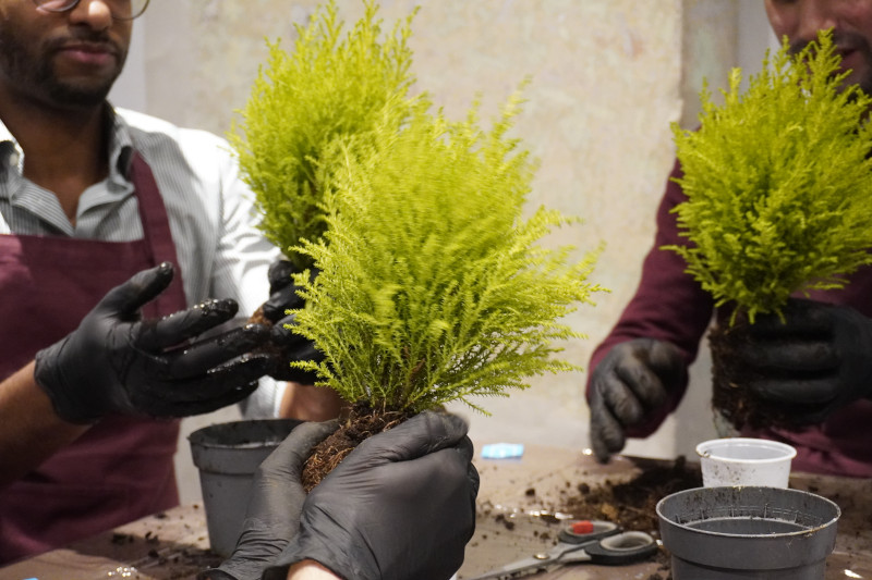 Team building sociale con Kokedama per AKAMAS - 8