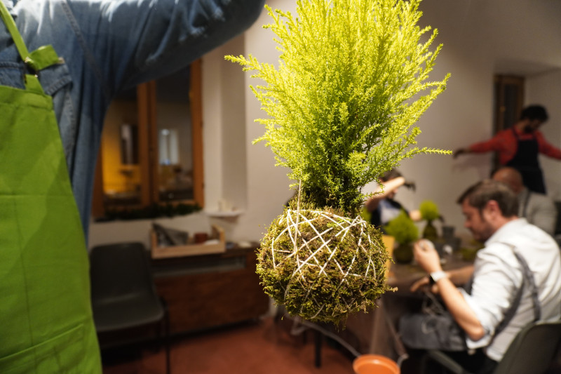 Team building sociale con Kokedama per AKAMAS - 7