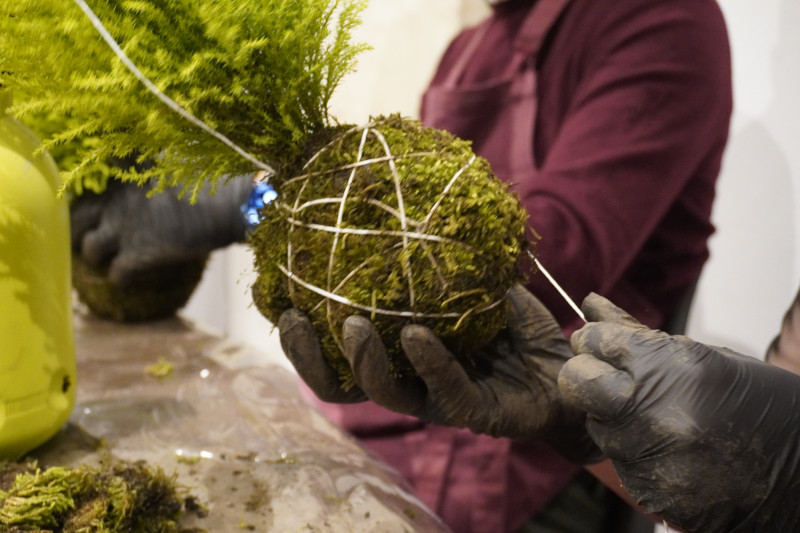 Team building sociale con Kokedama per AKAMAS - 1