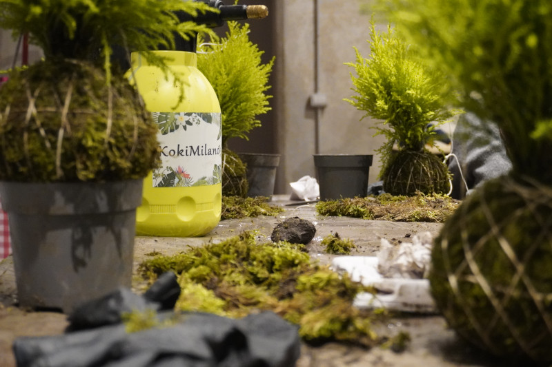 Team building sociale con Kokedama per AKAMAS - 21