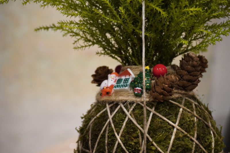 Team building sociale con Kokedama per AKAMAS - 6