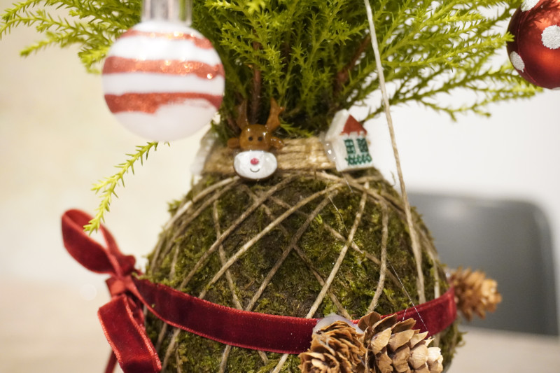 Team building sociale con Kokedama per AKAMAS - 10