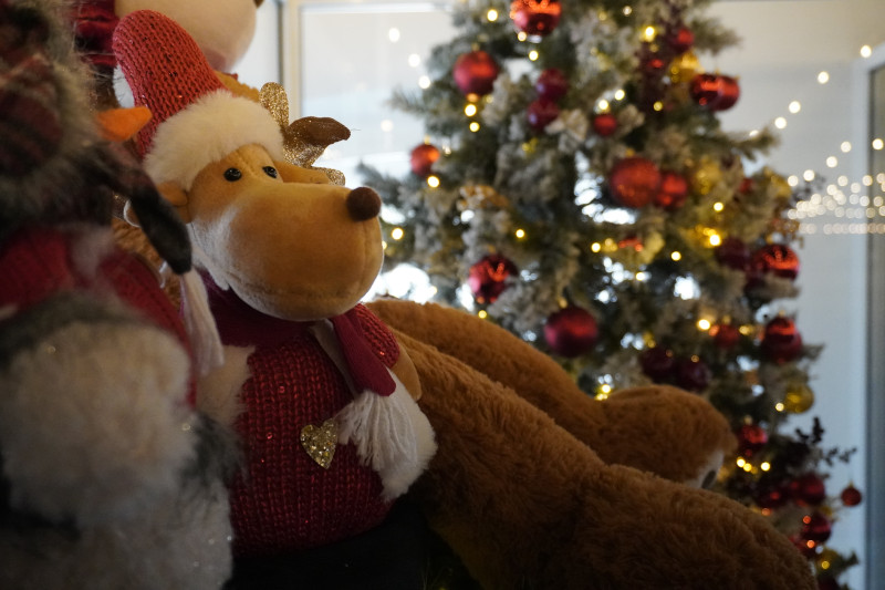 Team building natalizio per Xiaomi in cascina vicino Milano - 26