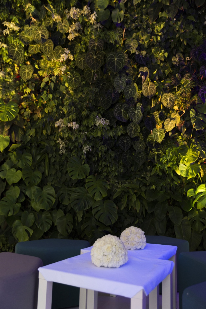 Festa 18 anni per cliente privato - 8