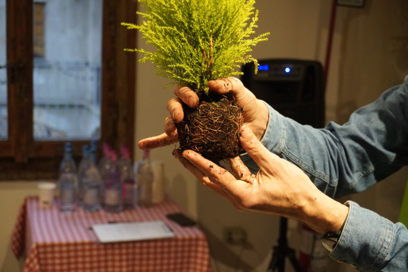 Team building sociale con Kokedama per AKAMAS - 11