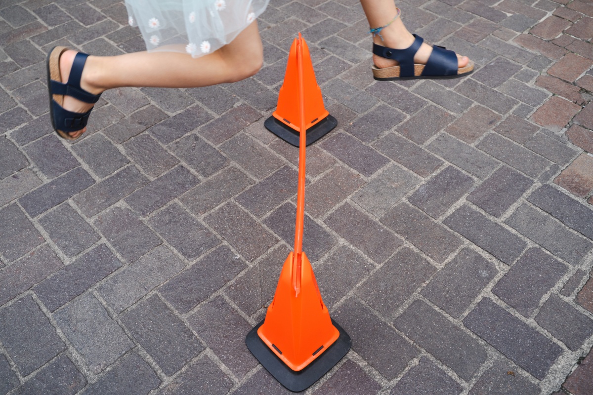 A Como arriva “Il Sentiero del Miele”: un progetto per educare e valorizzare l'identità cittadina - 1