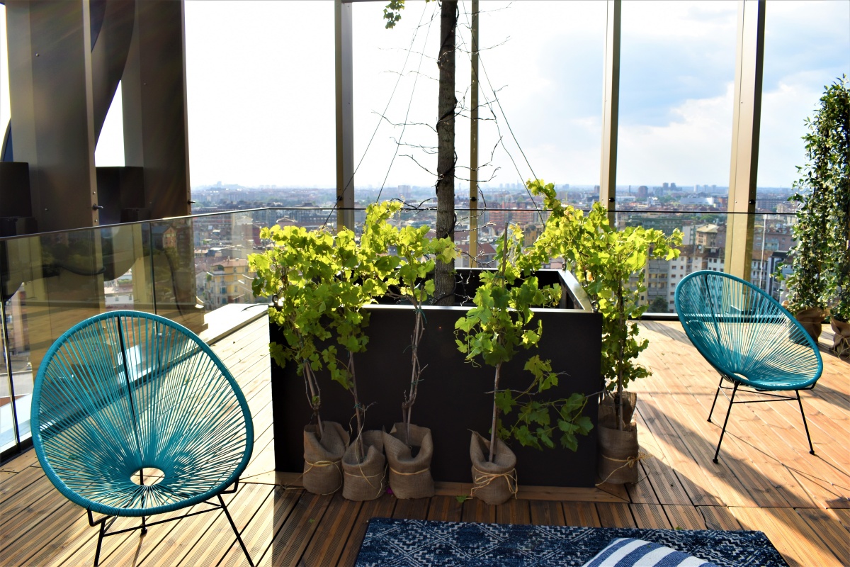 Liu Jo Lancio Nuova Collezione - 12