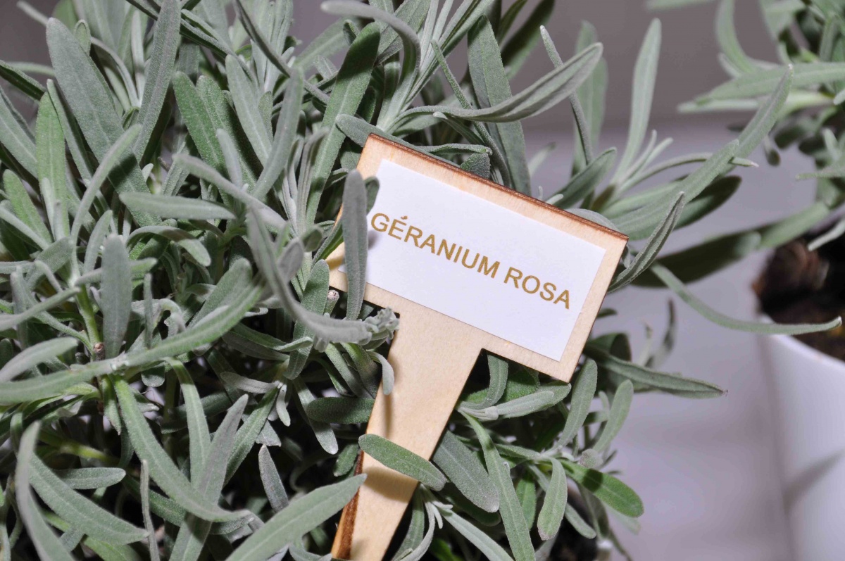 Press day per Darphin per la presentazione di una nuova maschera viso anti-stress - 24