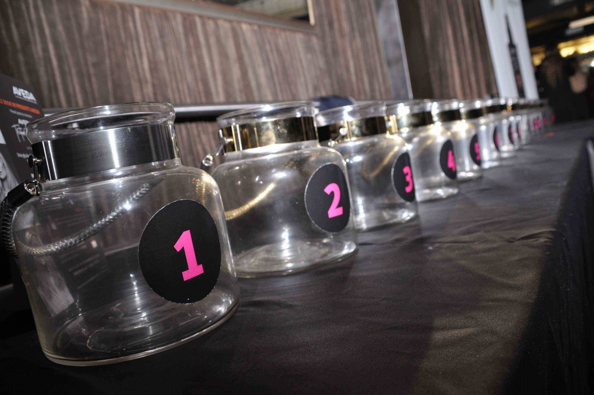 Primo contest di un tour promozionale tra i saloni Aveda - 31