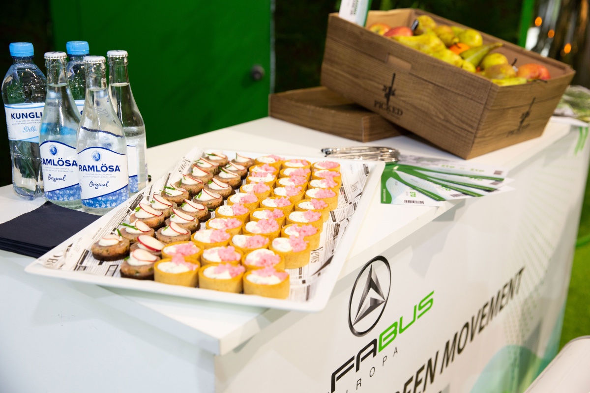 Branding per Alfabus Europa - 5