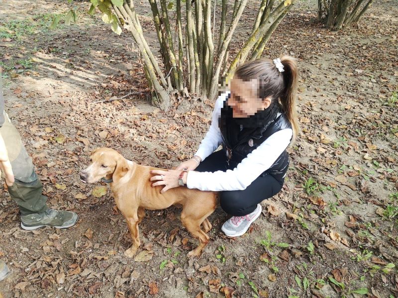 Viaggio incentive per Corti Fumagalli Giobbi - 4