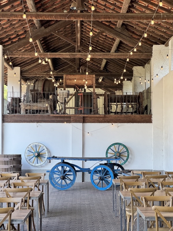 Quiz game personalizzato per evento aziendale nella natura - 5