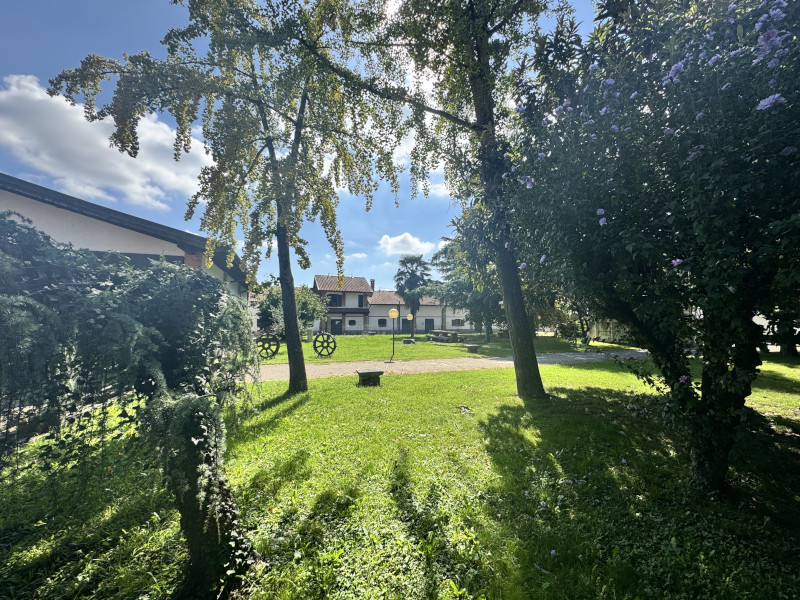 Quiz game personalizzato per evento aziendale nella natura - 2