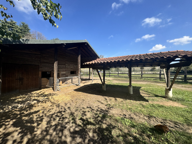 Quiz game personalizzato per evento aziendale nella natura - 3