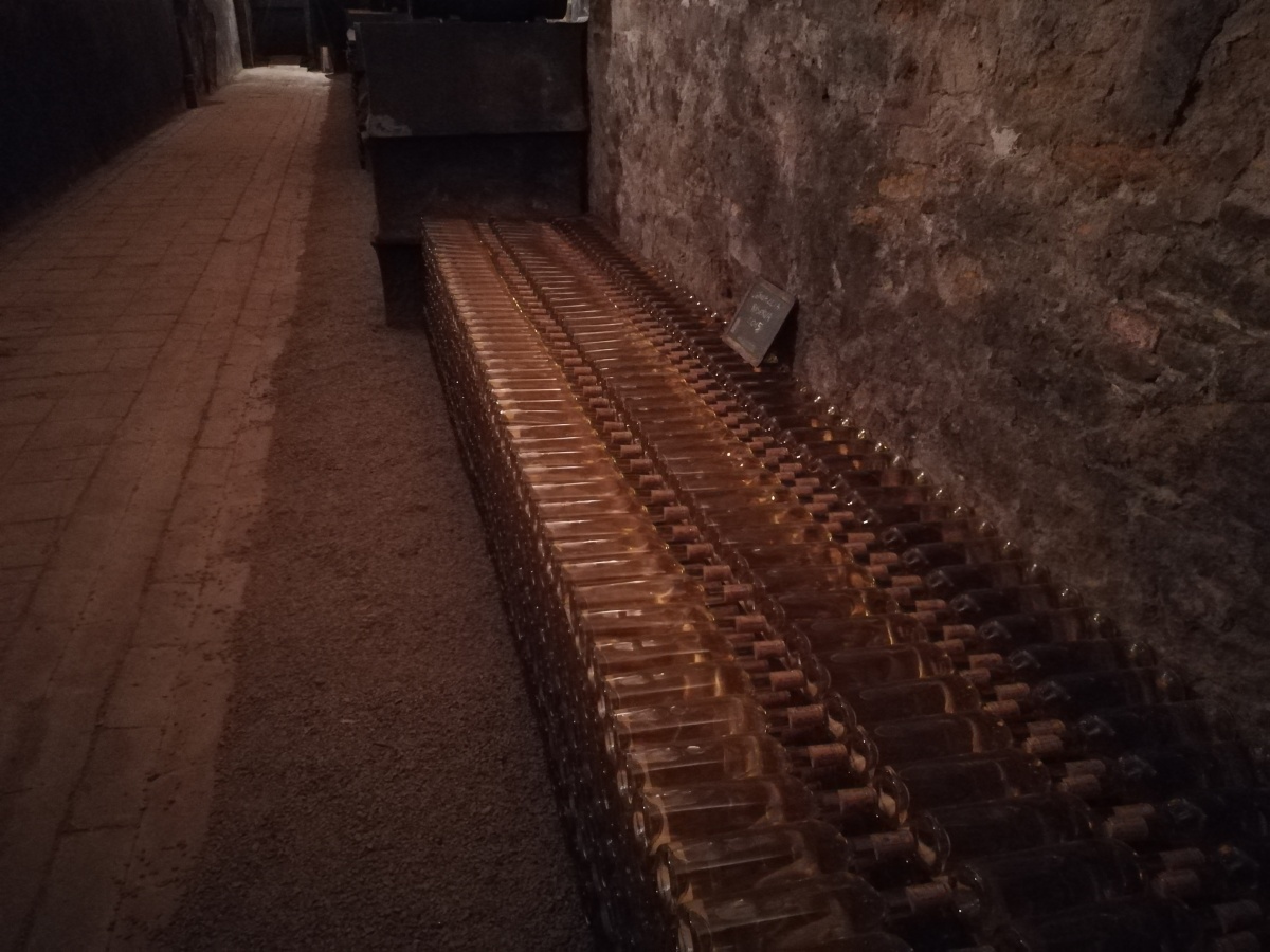 Incentive per il cliente Omnisint in Toscana - 23