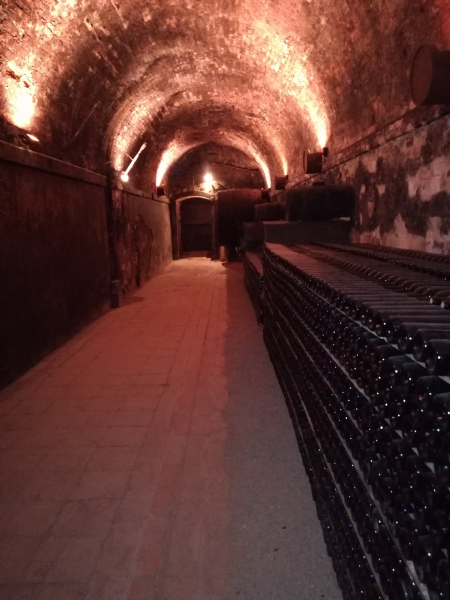 Incentive per il cliente Omnisint in Toscana - 16