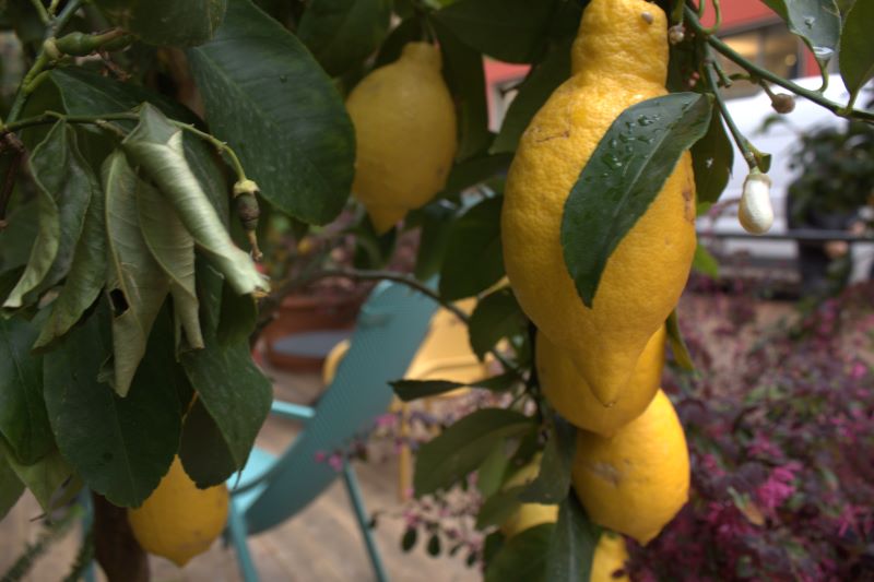 Il successo di Nardi alla Milano Design Week - 2