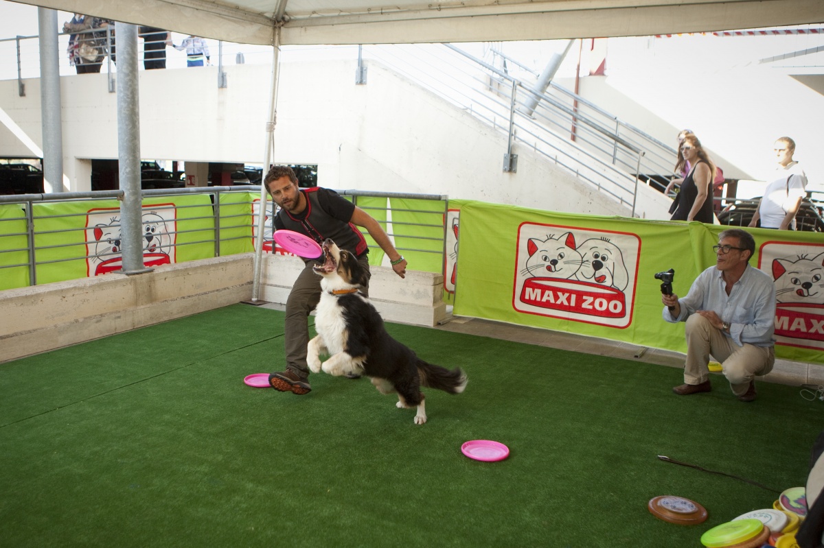 Villaggio Maxizoo a Roma con la testimonial Giorgia Palmas - 19