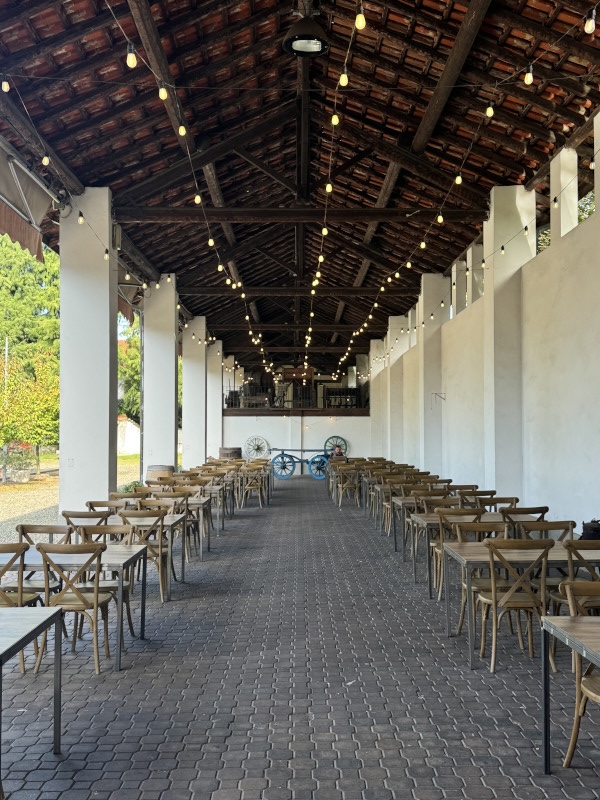 Quiz game personalizzato per evento aziendale nella natura - 6