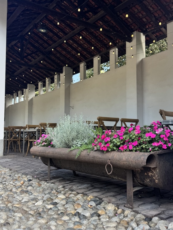 Quiz game personalizzato per evento aziendale nella natura - 4