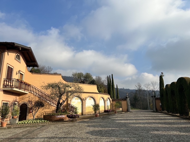 Selexi organizza un viaggio incentive di Natale con Smart Eventi - 7