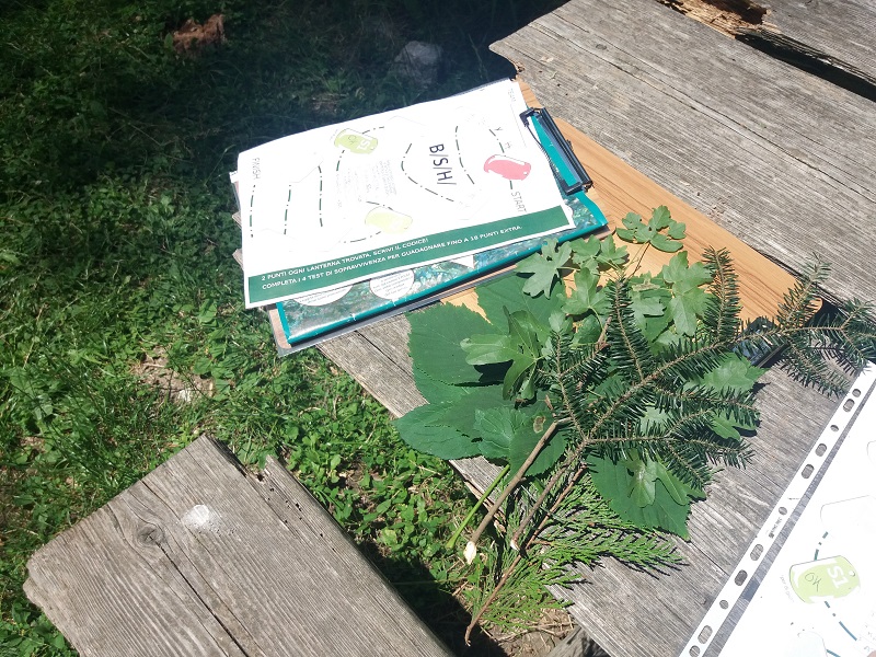 Secondo team building per BSH Elettrodomestici S.p.a - 2