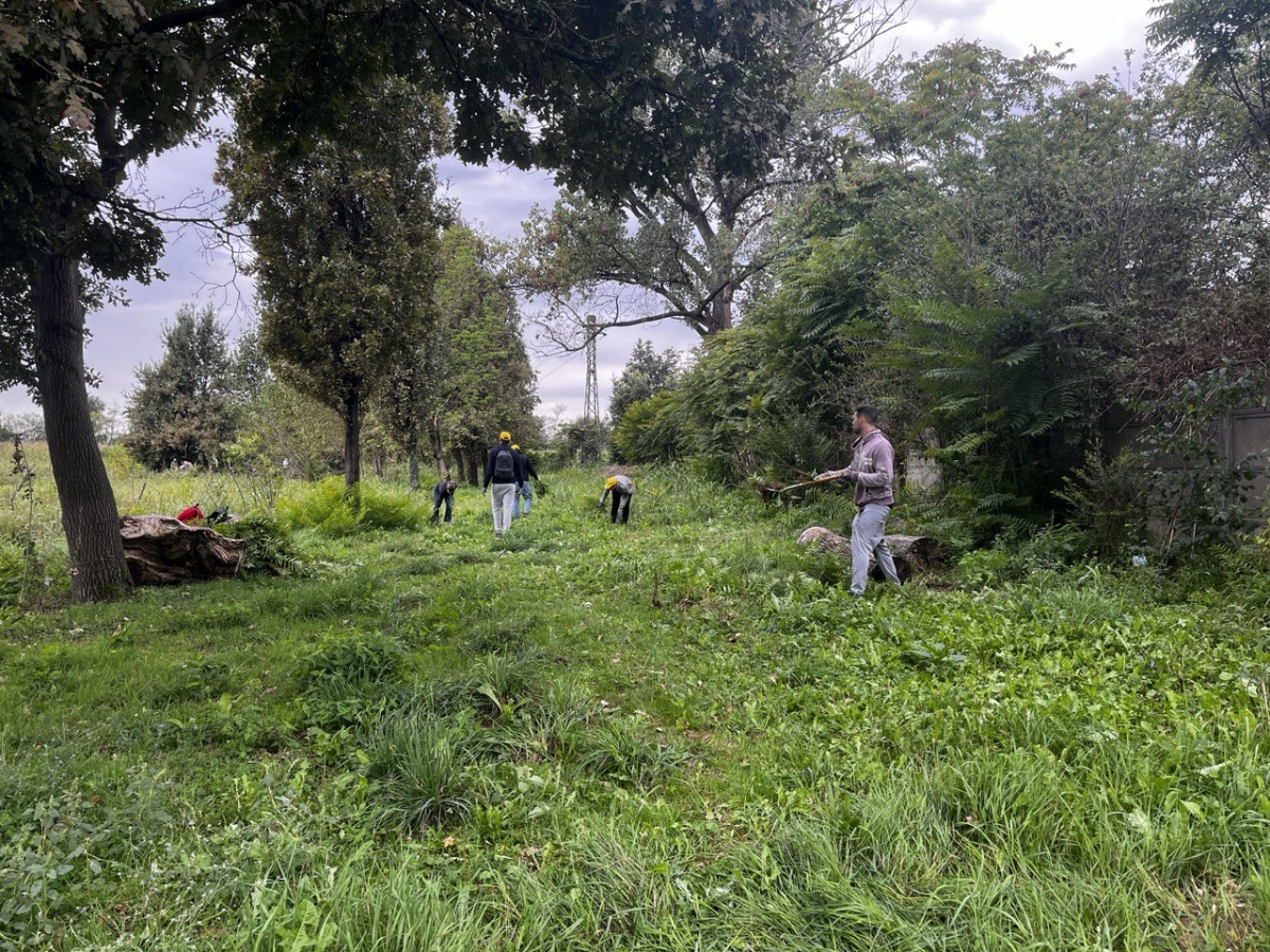 Team Building Ambientale con Legambiente: il progetto di Bureau Plattner - 10