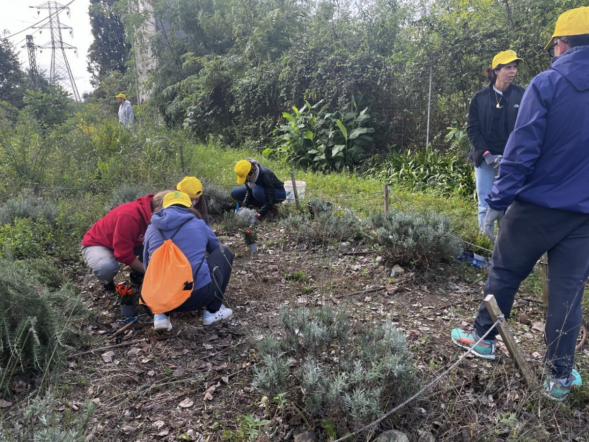 Team Building Ambientale con Legambiente: il progetto di Bureau Plattner - 0
