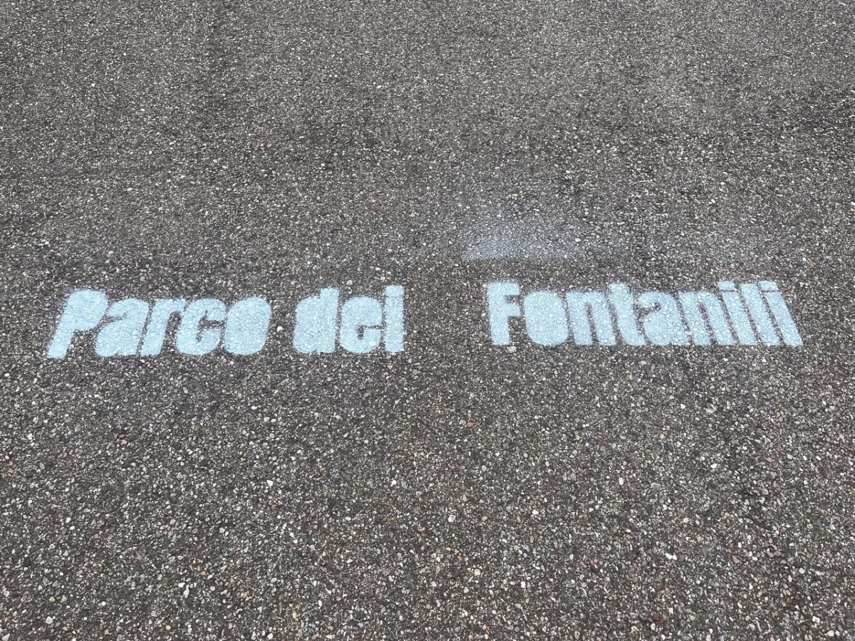 Team Building Ambientale con Legambiente: il progetto di Bureau Plattner - 2