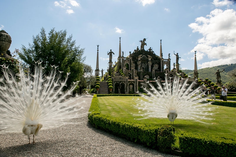 Tour esclusivo Italy’s Finest Experience - 9