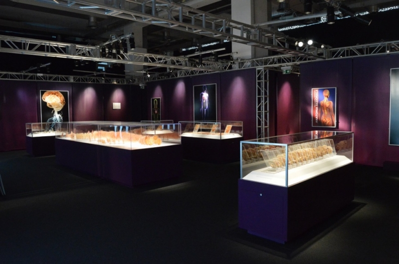 Mostra Real Bodies - 10