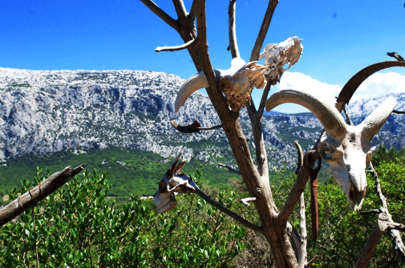 Bankasa Incentive Travel Smart Eventi - 1