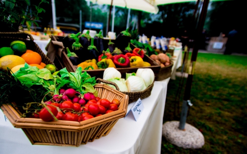 Smart Eventi per Canadian Solar: BBQ Team building sul Lago di Iseo - 21