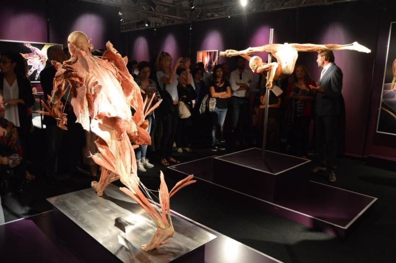 Mostra Real Bodies - 13