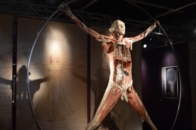 Mostra Real Bodies - 11