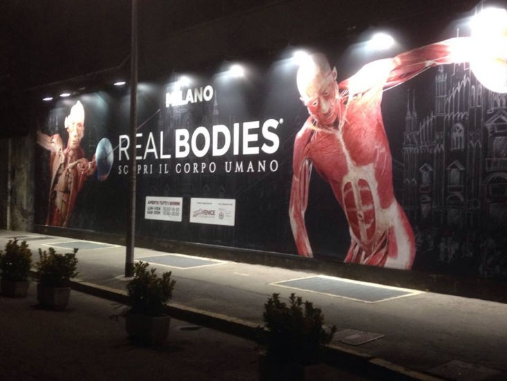 Mostra Real Bodies - 0