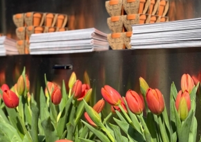 Case study dell'attivazione creativa di Casavo a Brera: strategia vincente per aumentare brand awareness e traffico qualificato nel settore immobiliare milanese.